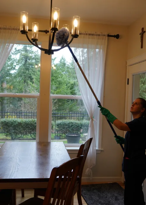 Deep Residential Cleaning Services Mobile