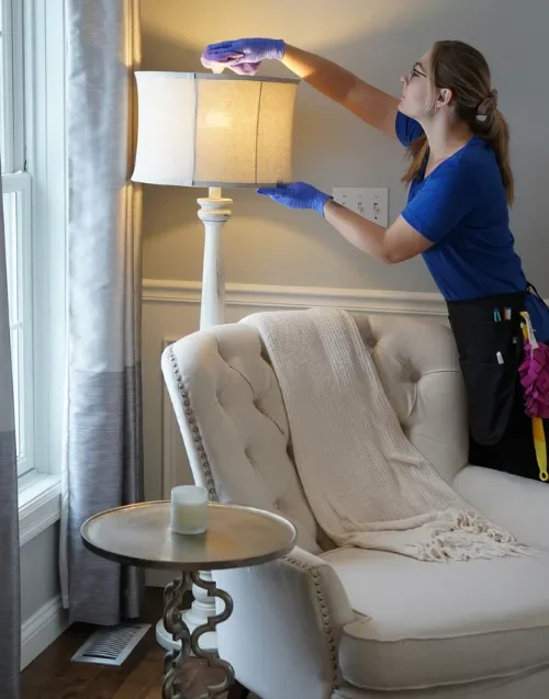 Residential Cleaning Services Mobile